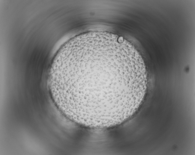 X0000115191130200911251413