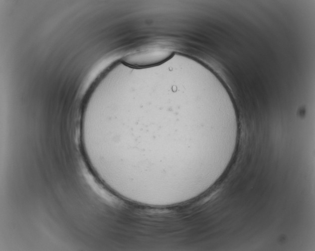 X0000115191131200911251413