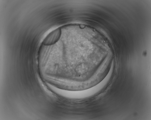 X0000115191133200911251413