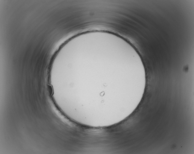 X0000115191134200911251413