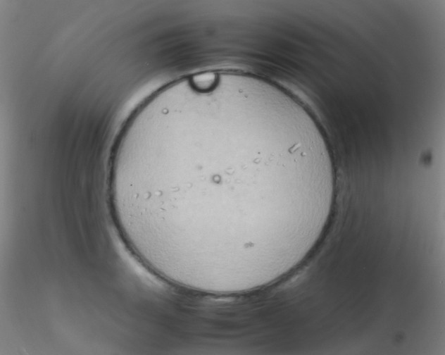 X0000115191135200911251413