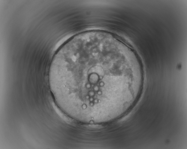 X0000115191137200911251414