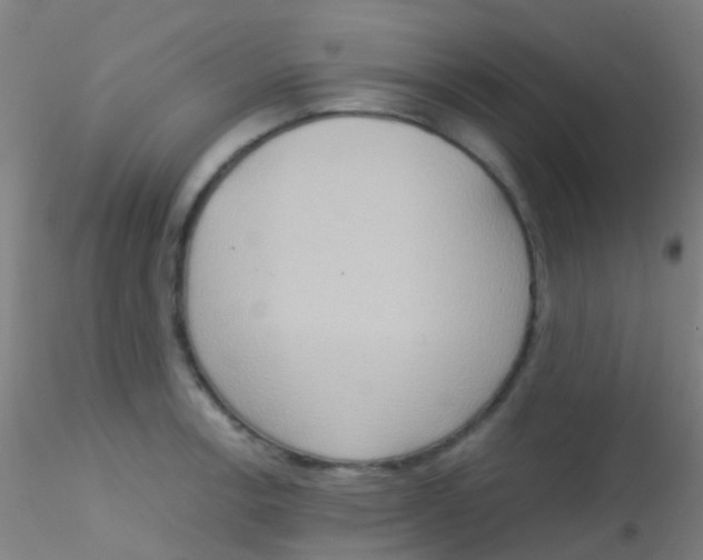 X0000115191138200911251414