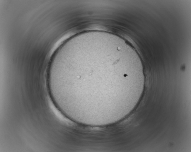 X0000115191139200911251414