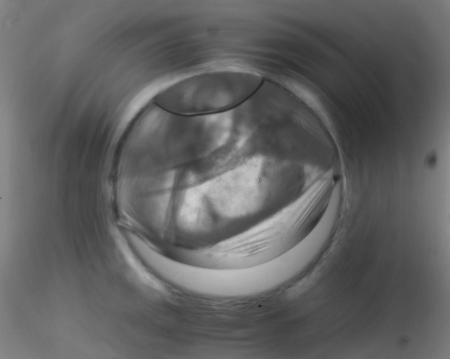 X0000115191141200911251414