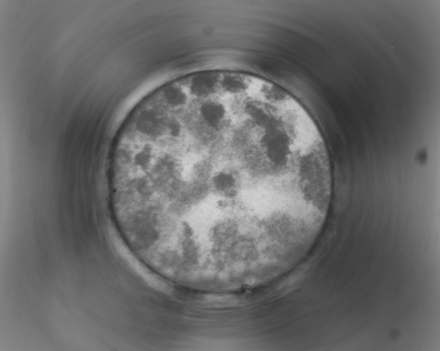 X0000115191142200911251414