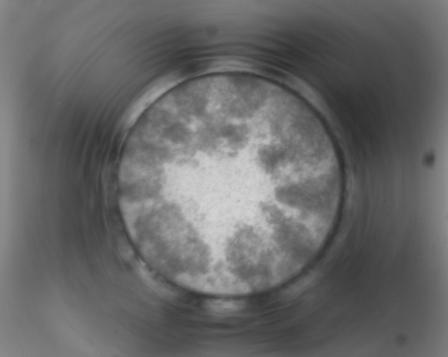 X0000115191145200911251414