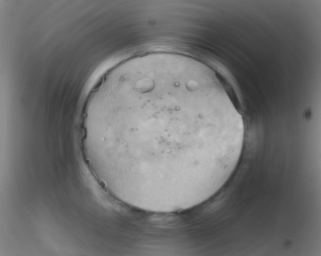 X0000115191146200911251414