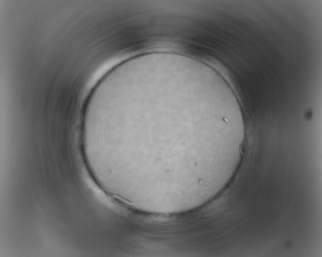 X0000115191147200911251414