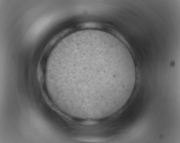 X0000115191151200911251414