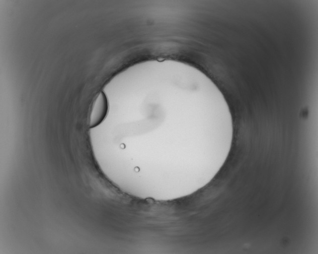 X0000115191153200911251413