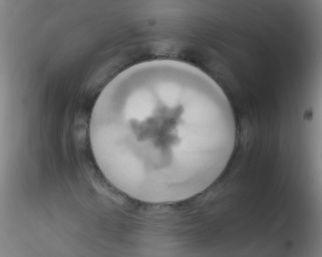 X0000115191154200911251413