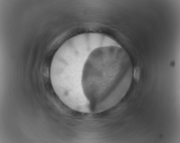 X0000115191155200911251413