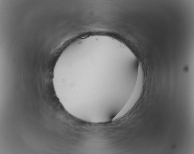 X0000115191157200911251413