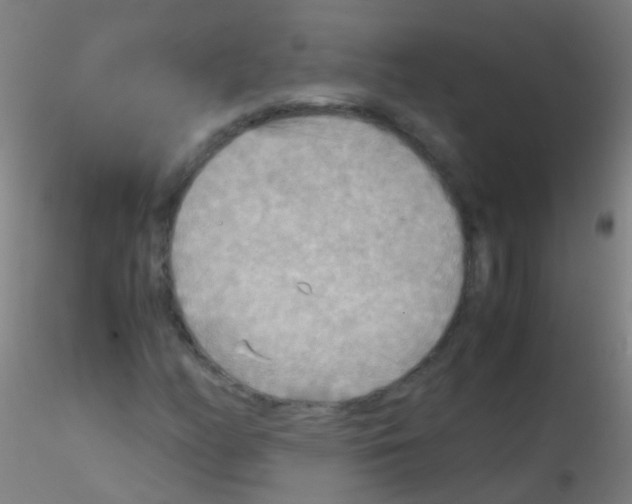 X0000115191158200911251413