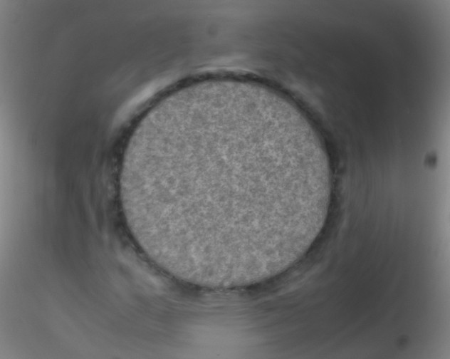 X0000115191159200911251413