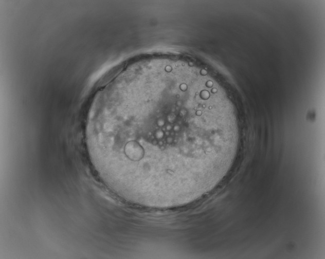 X0000115191160200911251413