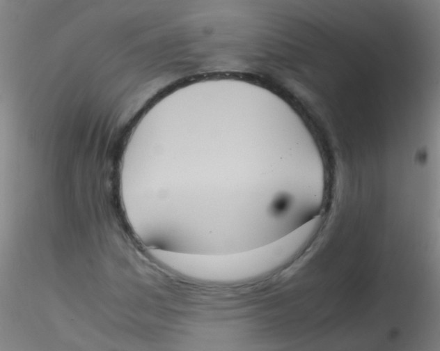 X0000115191161200911251413