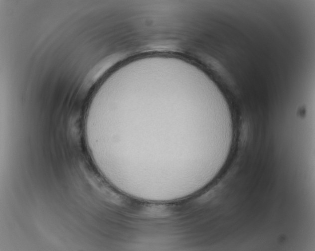 X0000115191162200911251413