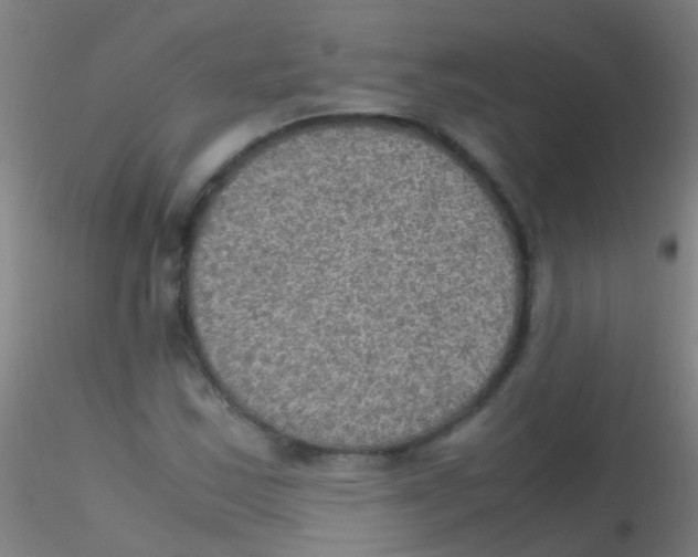 X0000115191163200911251413