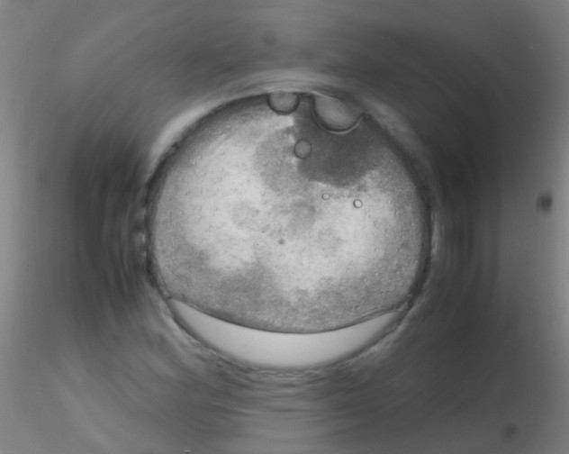 X0000115191164200911251413