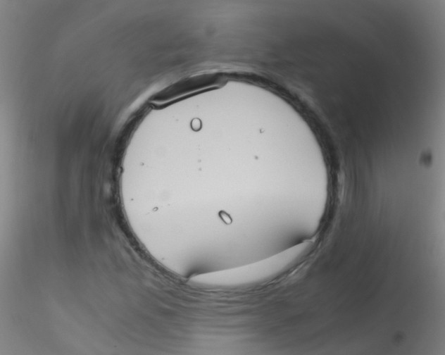 X0000115191165200911251413