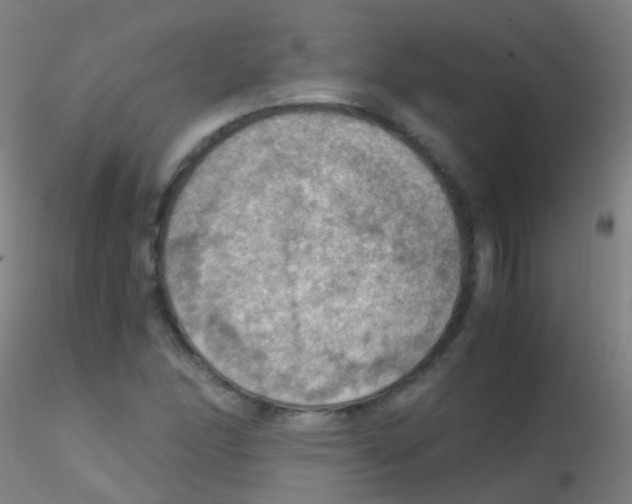 X0000115191166200911251413