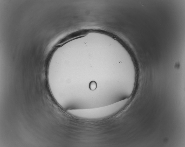 X0000115191167200911251413