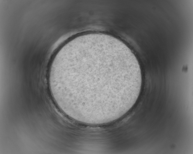 X0000115191168200911251413