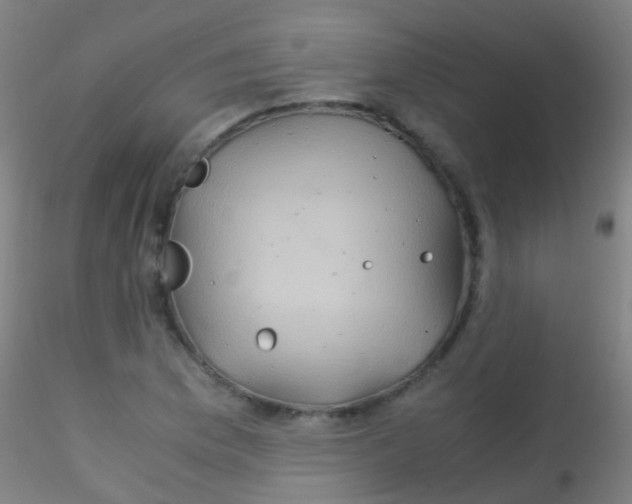 X0000115191169200911251413