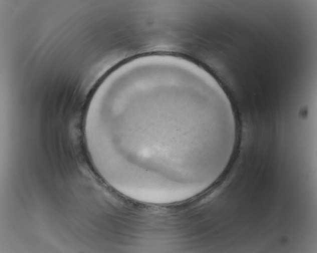 X0000115191170200911251413