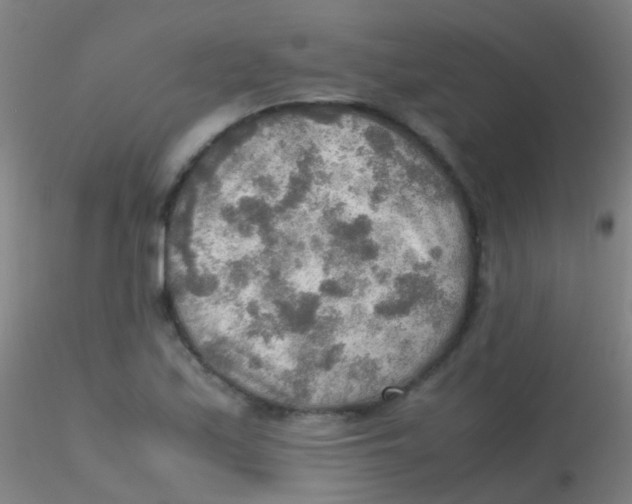 X0000115191171200911251413