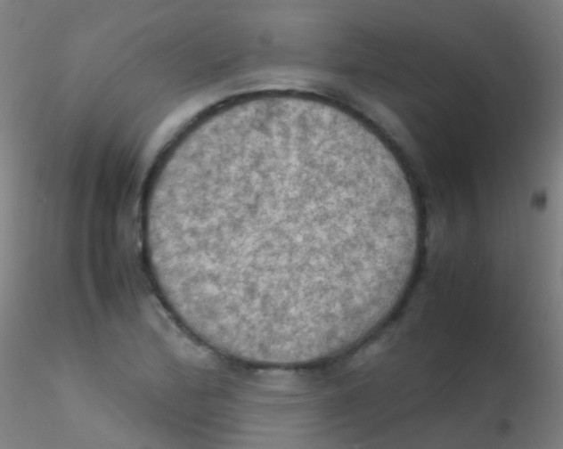 X0000115191172200911251413