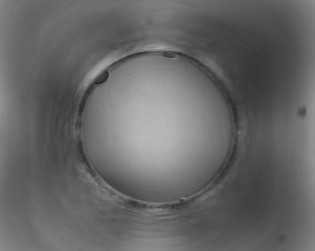 X0000115191173200911251413