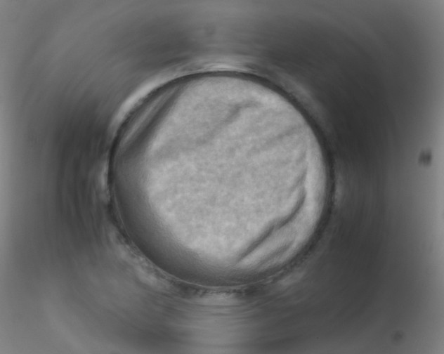 X0000115191174200911251413