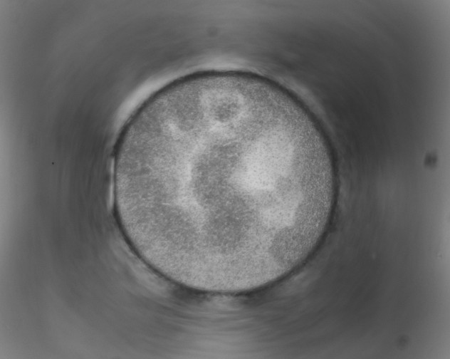 X0000115191175200911251413