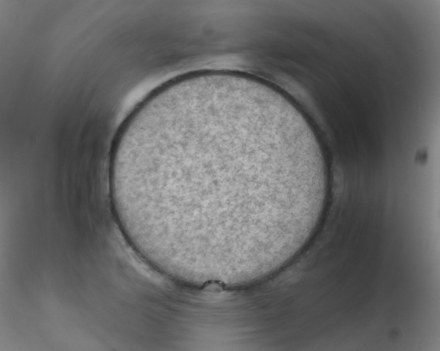 X0000115191176200911251413