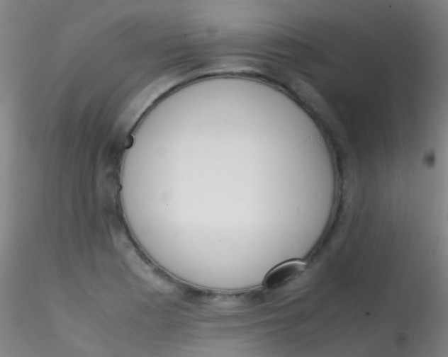 X0000115191177200911251413