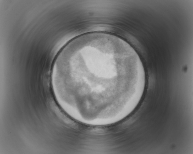 X0000115191178200911251413