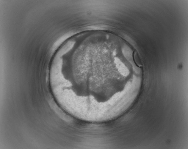 X0000115191179200911251413