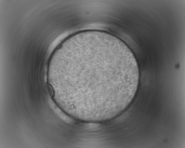 X0000115191180200911251413