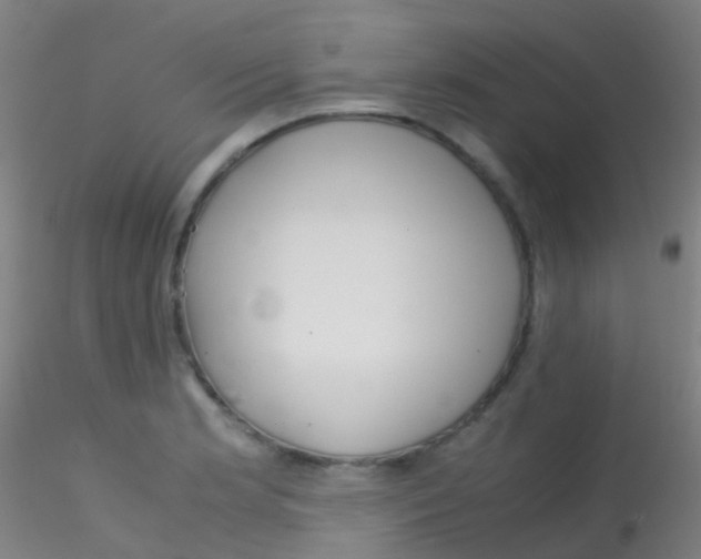 X0000115191181200911251413