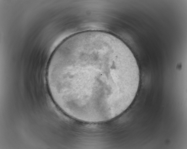 X0000115191182200911251413