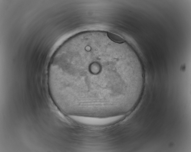 X0000115191184200911251413