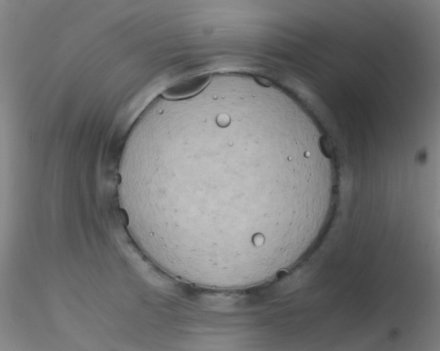 X0000115191185200911251413