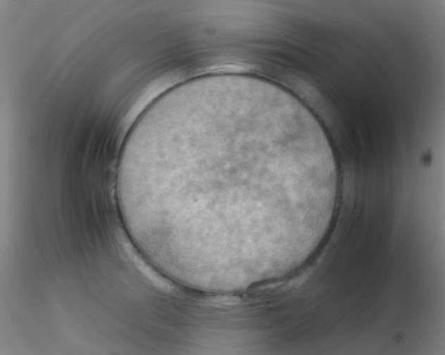 X0000115191186200911251413