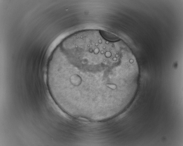 X0000115191188200911251413