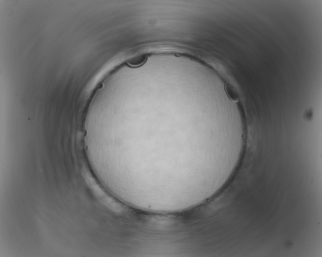 X0000115191189200911251413