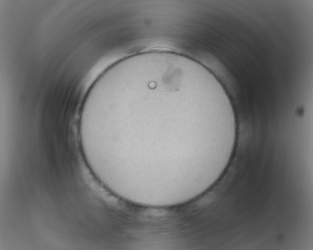 X0000115191190200911251413