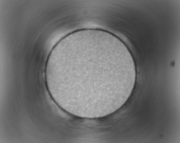 X0000115191191200911251413